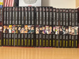 Coleccion completa guardianes de la noche manga