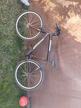 Bicicleta de Montaña