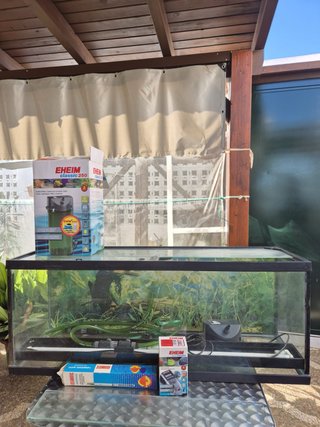 Acuario con Kit Eheim Classic 250