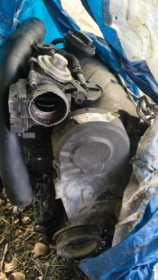 Despiece Motor Seat León 1.9 TDI BKC 105cv