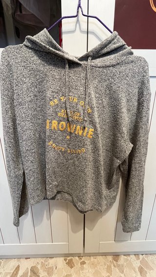 Sudadera con capucha gris Brownie