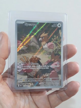 Carta Pokémon Spearow