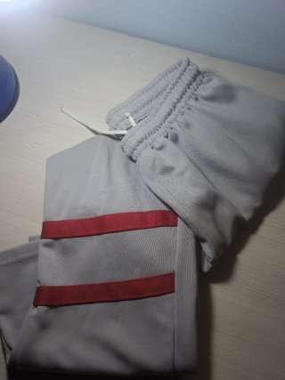Pantalón Deportivo Gris con Bandas Rojas