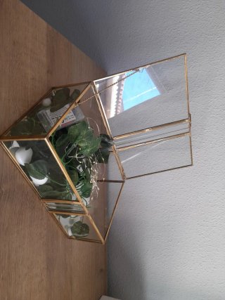 Terrario de Cristal y Metal Dorado
