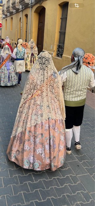 Traje de Fallera con Aderezo y Peinetas