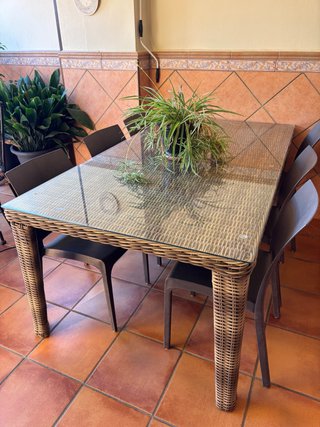 Mesa de Jardín de Ratán con Cristal 180cm