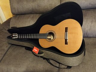 Guitarra Alhambra 10 Premium con Funda