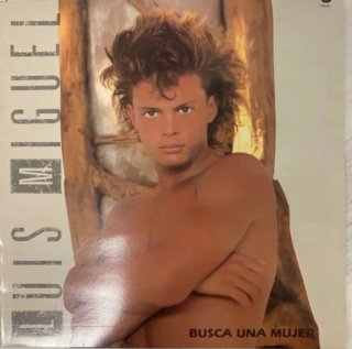 Vinilo Luis Miguel - Busca una Mujer