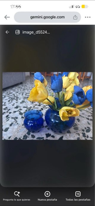 Jarrones azules