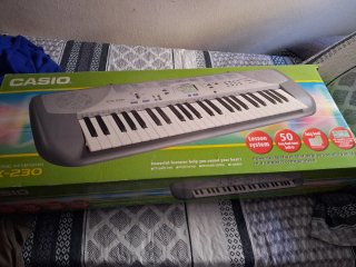 Órgano Casio CTK-230