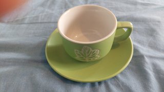 Set de 6 Tazas y Platos Verdes