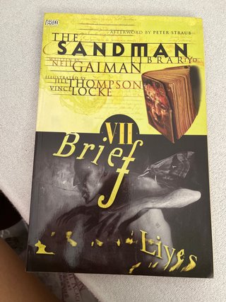 The Sandman: brief lives