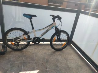 Bicicleta Infantil Giant XTC