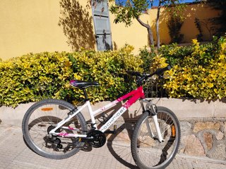 Bicicleta de Montaña Rockrider 5.1 Mujer