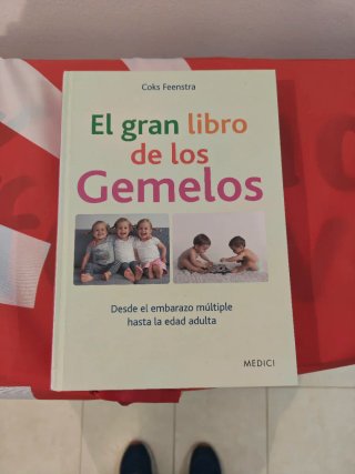 El gran libro de los Gemelos - Coks Feenstra