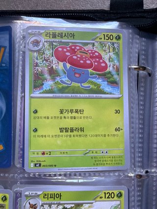 Carta pokémon Coreana.
