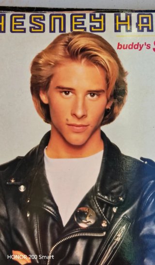 Vinilo Chesney Hawkes