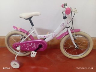 Bicicleta para Niña de 14 Pulgadas