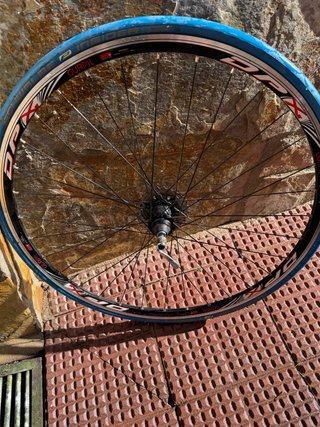 Rueda Trasera Gurpil DPX 11v para Rodillo