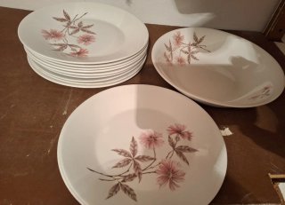 Set de 12 Platos de Porcelana