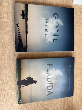 DVD Perdida (Gone Girl)