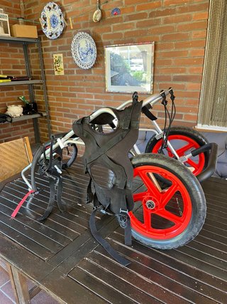 Silla de ruedas ortopédica para perro