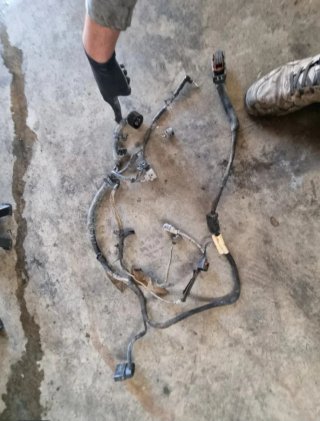 Cableado Motor 1.9 TDI 150cv Seat León MK1