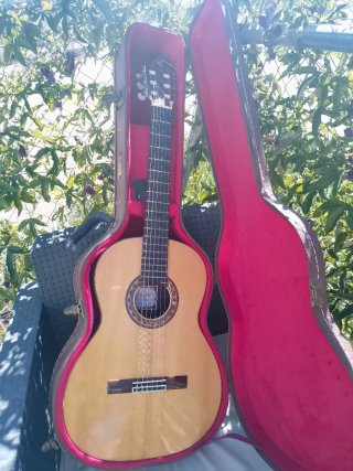 Guitarra Flamenca con Estuche