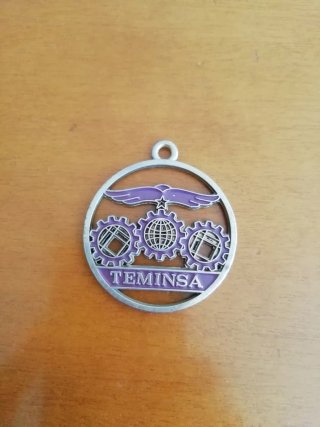 Medalla para llavero de Teminsa