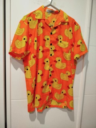 Camisa Estampada de Patitos