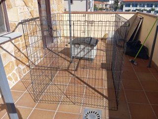 Lote caseta y jaula para mascotas, perro