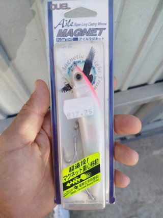 Señuelo Duel Aile Magnet Floating