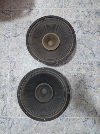 2 Altavoces Beyma