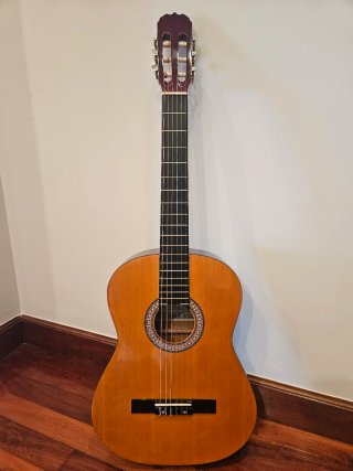 Guitarra Clásica Sonora C392