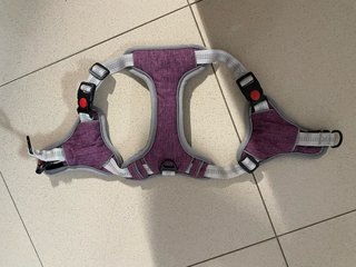 Arnés Reforzado para Perro