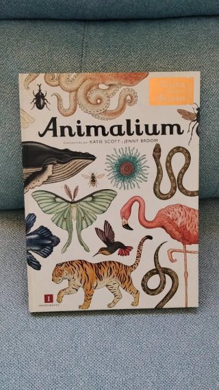 Libro "Animalium" (Visita nuestro museo)