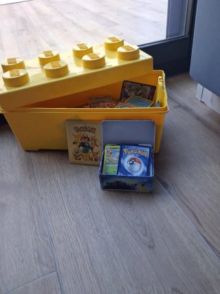 Lote de cartas Pokémon