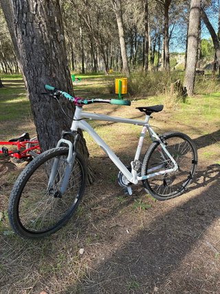 Bicicleta de Montaña o calle en Blanca