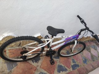Bicicleta Topbike 24 pulgadas