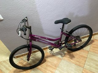 Bicicleta de Montaña Mitical Katana Morada