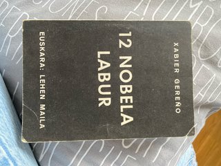 Libro en euskera 12 nobela labur