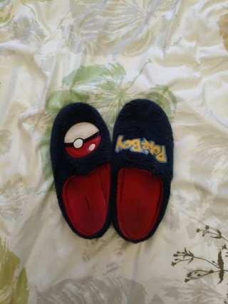 Zapatillas de casa Pokémon