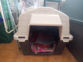 Caseta para Perros Pequeña