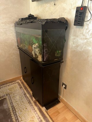 Acuario 270L con Mueble y Filtro