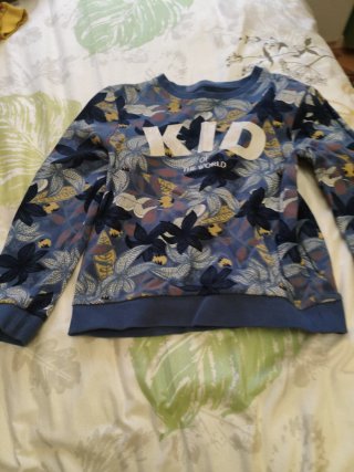 Sudadera Estampada Azul