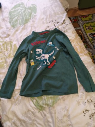 Camiseta manga larga dinosaurio