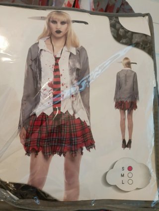 Halloween. Disfraz de Estudiante Zombie