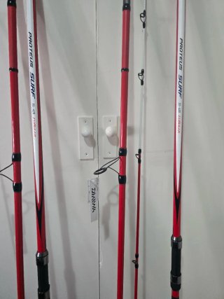 2 Cañas Daiwa Proteus Surf 33 420