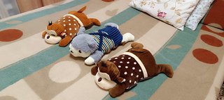 Lote de 3 Peluches Cojín Alargados