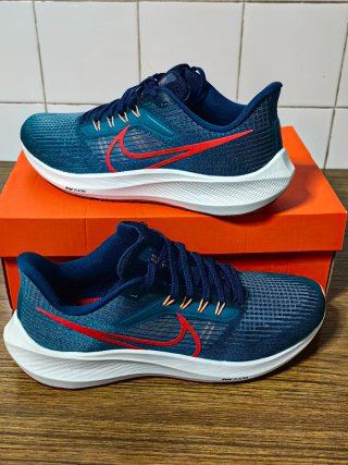 Nike Pegasus 39 Talla 44